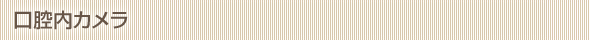 口腔内カメラ